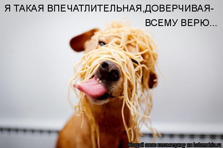 ВСЕМУ ВЕРЮ... Я ТАКАЯ ВПЕЧАТЛИТЕЛЬНАЯ,ДОВЕРЧИВАЯ-... Котоматрица: ВСЕМУ ВЕРЮ... Я ТАКАЯ ВПЕЧАТЛИТЕЛЬНАЯ,ДОВЕРЧИВАЯ-
