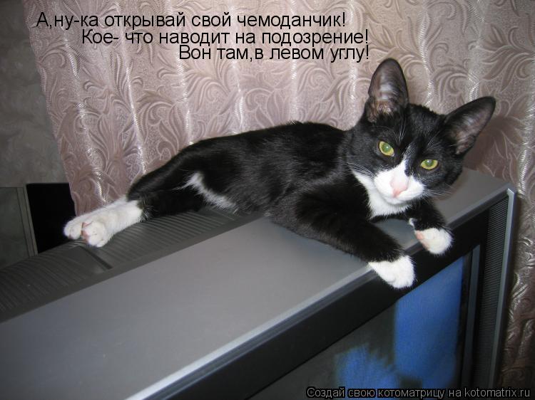 Котоматрица: А,ну-ка открывай свой чемоданчик! Кое- что наводит на подозрение! Вон там,в левом углу!