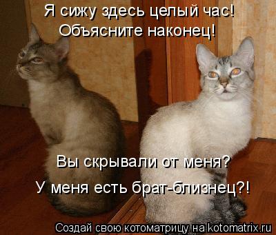 Я сижу здесь целый час! Объясните наконец! Вы скрывали от меня? У меня есть брат-близнец?!... Котоматрица: Я сижу здесь целый час! Объясните наконец! Вы скрывали от меня? У меня есть брат-близнец?!