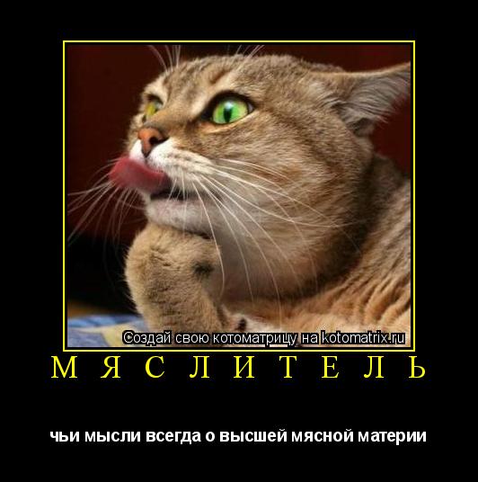 Котоматрица: М Я С Л И Т Е Л Ь чьи мысли всегда о высшей мясной материи