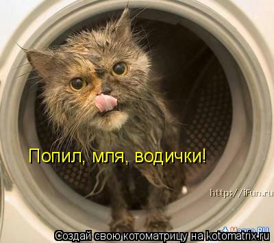 Котоматрица: Попил, мля, водички!