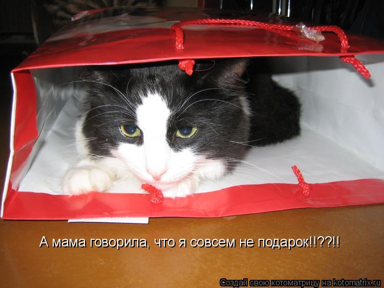А мама говорила, что я совсем не подарок!!??!!... Котоматрица: А мама говорила, что я совсем не подарок!!??!!