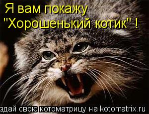 Я вам покажу "Хорошенький котик" !... Котоматрица: Я вам покажу "Хорошенький котик" !