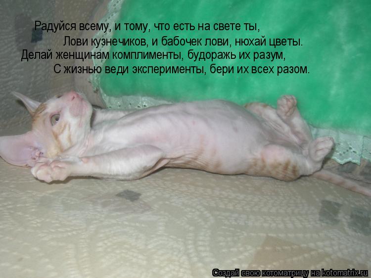 Котоматрица: Радуйся всему, и тому, что есть на свете ты, Лови кузнечиков, и бабочек лови, нюхай цветы. Делай женщинам комплименты, будоражь их разум, С жиз