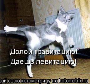 Котоматрица: Долой гравитацию! Даешь левитацию!