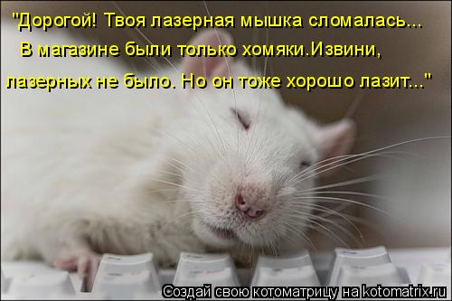 "Дорогой! Твоя лазерная мышка сломалась... В магазине были только хомяки.Извини, лазерных не было. Но... Котоматрица: "Дорогой! Твоя лазерная мышка сломалась... В магазине были только хомяки.Извини, лазерных не было. Но он тоже хорошо лазит..."