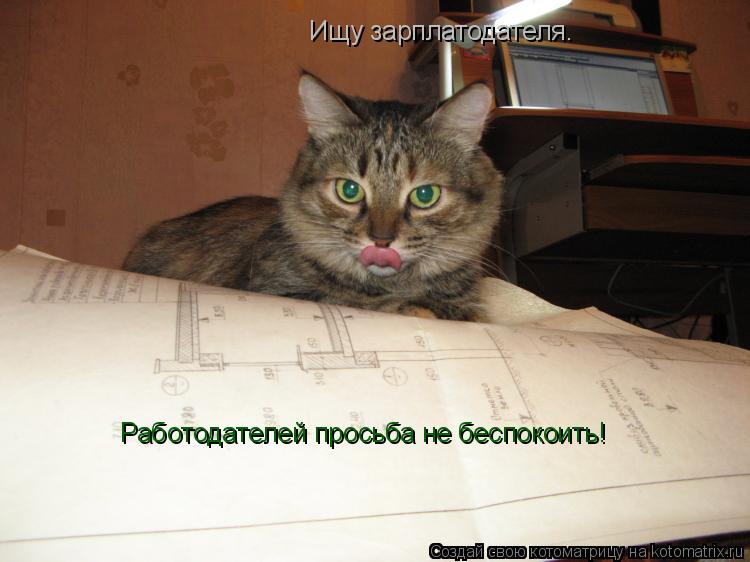 Котоматрица: Ищу зарплатодателя.  Работодателей просьба не беспокоить!
