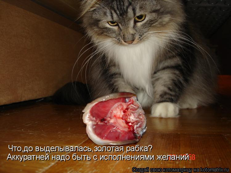 Котоматрица: Аккуратней надо быть с исполнениями желаний Что,до выделывалась,золотая рабка?