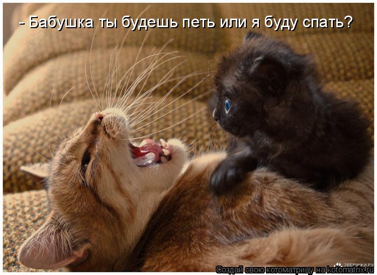 Котоматрица: - Бабушка ты будешь петь или я буду спать?