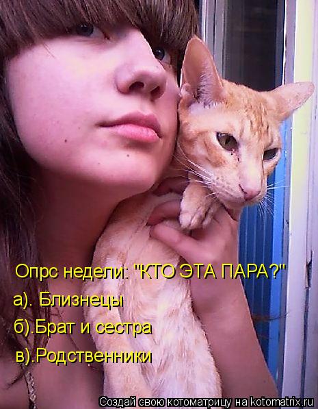 Котоматрица: Опрс недели: "КТО ЭТА ПАРА?" а). Близнецы б).Брат и сестра в).Родственники