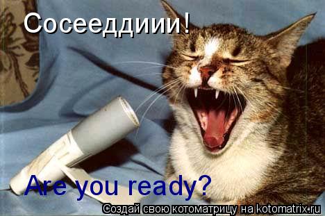 Сосееддиии! Are you ready?... Котоматрица: Сосееддиии! Are you ready?