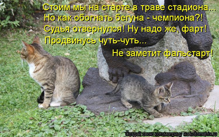 Стоим мы на старте в траве стадиона... Но как обогнать бегуна - чемпиона?! Судья отвернулся! Ну надо ... Котоматрица: Стоим мы на старте в траве стадиона... Но как обогнать бегуна - чемпиона?! Судья отвернулся! Ну надо же, фарт! Продвинусь чуть-чуть... Не заметит