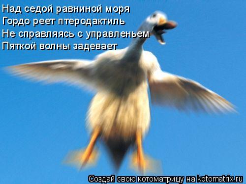 Котоматрица: Над седой равниной моря Гордо реет птеродактиль Не справляясь с управленьем Пяткой волны задевает