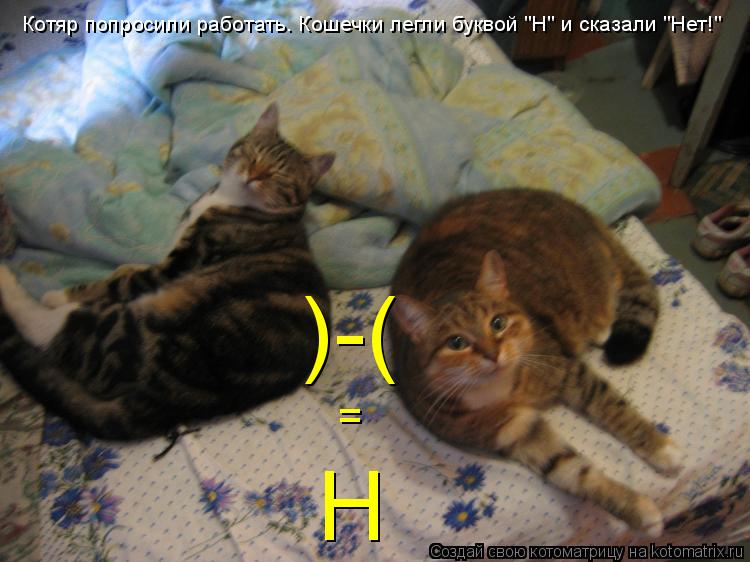 )-( Котяр попросили работать. Кошечки легли буквой "Н" и сказали "Нет!" = Н... Котоматрица: )-( Котяр попросили работать. Кошечки легли буквой "Н" и сказали "Нет!" = Н