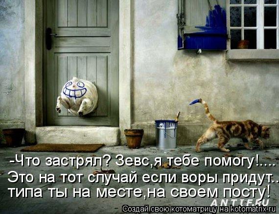 Котоматрица: типа ты на месте,на своем посту! Это на тот случай если воры придут.... -Что застрял? Зевс,я тебе помогу!....