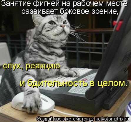 Котоматрица: Занятие фигней на рабочем месте  развивает боковое зрение, слух, реакцию и бдительность в целом.