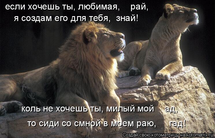 если хочешь ты, любимая, рай, я создам его для тебя, знай! коль не хочешь ты, милый мой ад, то... Котоматрица: если хочешь ты, любимая, рай, я создам его для тебя, знай! коль не хочешь ты, милый мой ад, то сиди со смной в моем раю, гад!