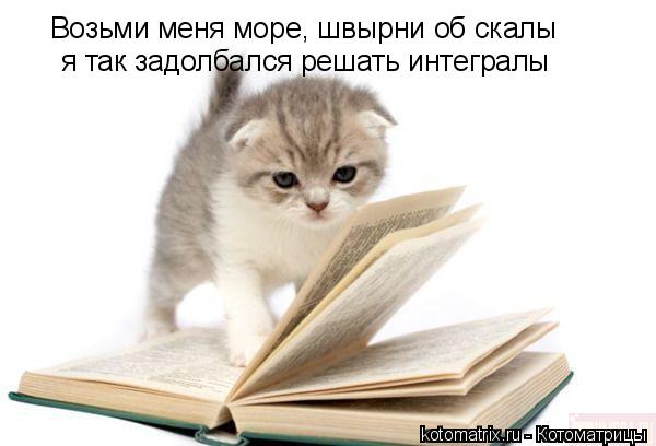 Возьми меня море, швырни об скалы я так задолбался решать интегралы... Котоматрица: Возьми меня море, швырни об скалы я так задолбался решать интегралы
