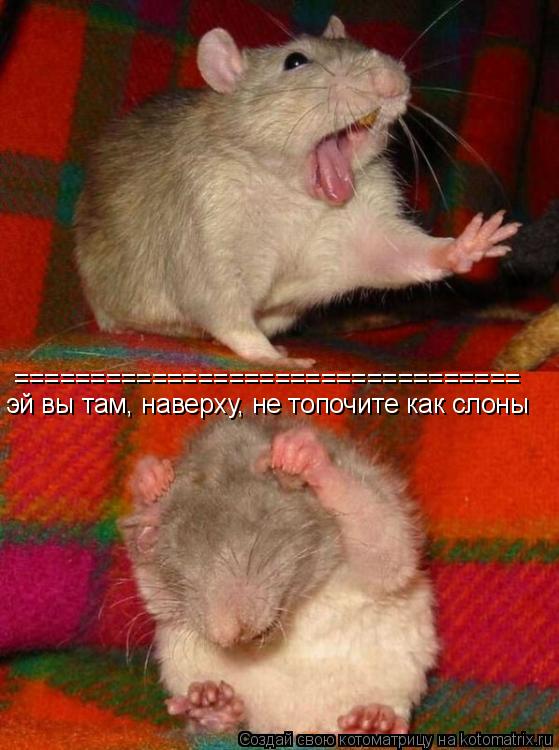 Котоматрица: ================================= эй вы там, наверху, не топочите как слоны