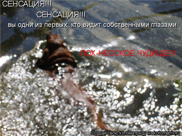 СЕНСАЦИЯ!!! СЕНСАЦИЯ!!! вы одни из первых, кто видит собственными глазами ЛОХ-НЕССКОЕ ЧУДИЩЕ!!!... Котоматрица: СЕНСАЦИЯ!!! СЕНСАЦИЯ!!! вы одни из первых, кто видит собственными глазами ЛОХ-НЕССКОЕ ЧУДИЩЕ!!!