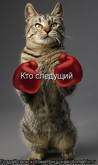 Котоматрица: Кто следущий