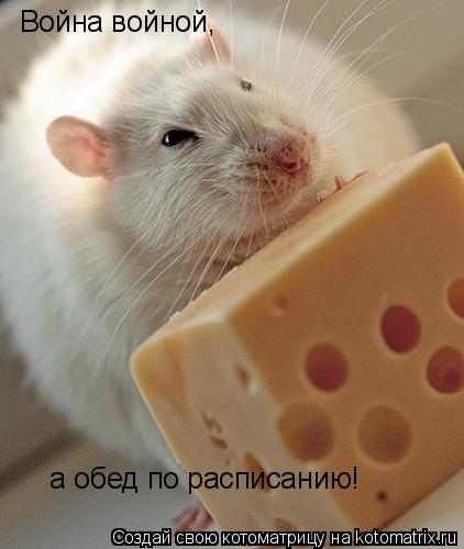 Война войной, а обед по расписанию!... Котоматрица: Война войной, а обед по расписанию!