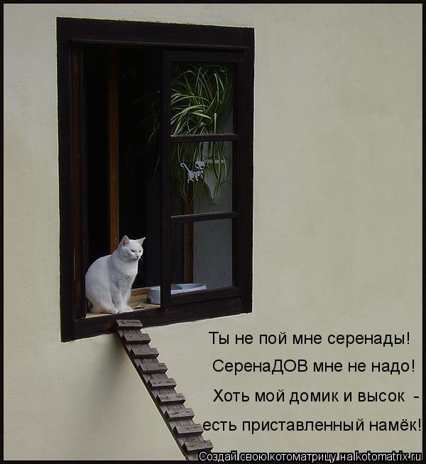 Ты не пой мне серенады! СеренаДОВ мне не надо! Хоть мой домик и высок - есть приставленный намёк!... Котоматрица: Ты не пой мне серенады! СеренаДОВ мне не надо! Хоть мой домик и высок - есть приставленный намёк!