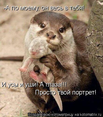 И усы и уши! А глаза!!! Просто твой портрет! -А по моему, он весь в тебя!... Котоматрица: И усы и уши! А глаза!!! Просто твой портрет! -А по моему, он весь в тебя!