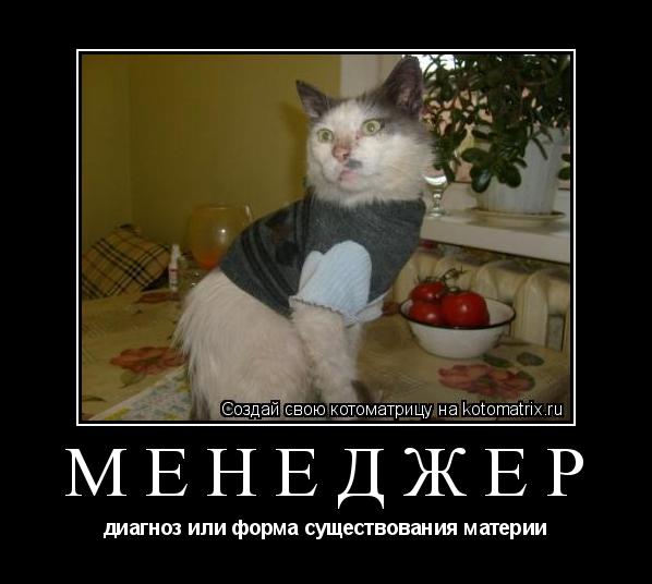 менеджер диагноз или форма существования материи... Котоматрица: менеджер диагноз или форма существования материи