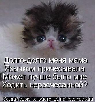 Долго-долго меня мама Язычком причесывала. Может лучше было мне Ходить нерасчесанной?... Котоматрица: Долго-долго меня мама Язычком причесывала. Может лучше было мне Ходить нерасчесанной?
