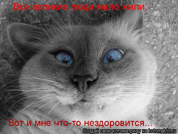 Котоматрица: Все великие люди мало жили.  Вот и мне что-то нездоровится...