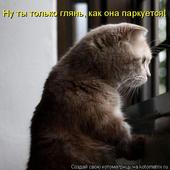 http://kotomatrix.ru/images/lolz/2009/06/05/-i.jpg