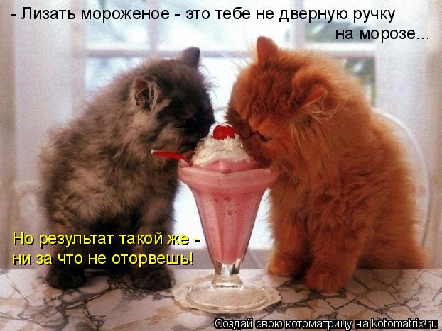 - Лизать мороженое - это тебе не дверную ручку на морозе... Но результат такой же - ни за что не ото... Котоматрица: - Лизать мороженое - это тебе не дверную ручку на морозе... Но результат такой же - ни за что не оторвешь!