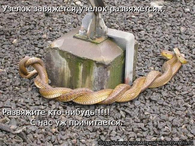 Узелок завяжется,узелок развяжется... Развяжите кто-нибудь!!!!! С нас уж причитается.... Котоматрица: Узелок завяжется,узелок развяжется... Развяжите кто-нибудь!!!!! С нас уж причитается.