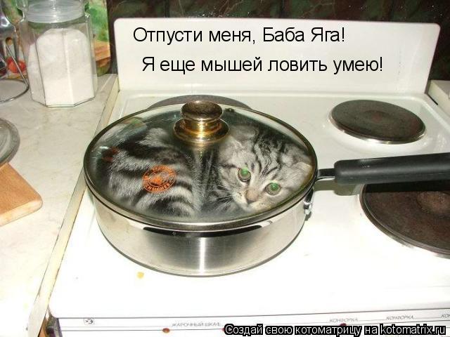 Котоматрица: Отпусти меня, Баба Яга! Я еще мышей ловить умею!