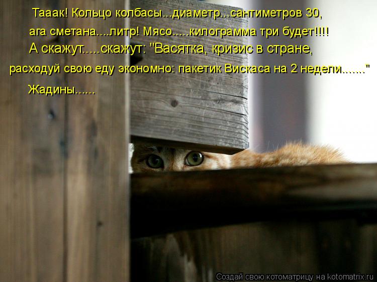 Котоматрица: Тааак! Кольцо колбасы...диаметр...сантиметров 30,  ага сметана....литр! Мясо.....килограмма три будет!!!!  А скажут.....скажут: "Васятка, кризис в стр