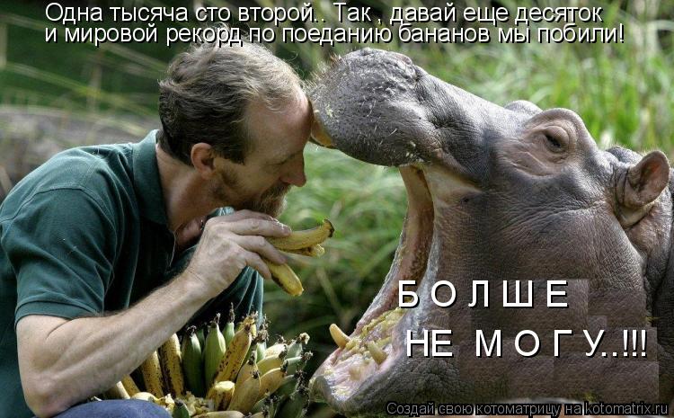 Котоматрица: Одна тысяча сто второй.. Так , давай еще десяток и мировой рекорд по поеданию бананов мы побили! Б О Л Ш Е  НЕ  М О Г У..!!!