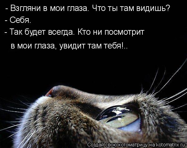 Котоматрица: - Взгляни в мои глаза. Что ты там видишь? - Себя. - Так будет всегда. Кто ни посмотрит  в мои глаза, увидит там тебя!..