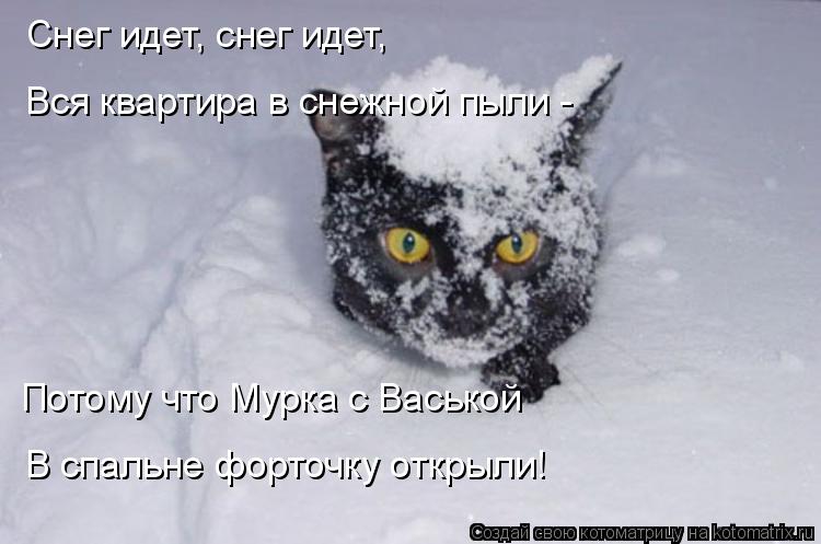 Снег идет, снег идет, Вся кваpтиpа в снежной пыли - Потому что Мурка с Васькой В спальне форточку отк... Котоматрица: Снег идет, снег идет, Вся кваpтиpа в снежной пыли - Потому что Мурка с Васькой В спальне форточку открыли!