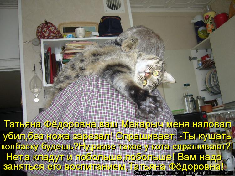 Татьяна Фёдоровна,ваш Макарыч меня наповал убил,без ножа зарезал! Спрашивает: -Ты кушать колбаску буд... Котоматрица: Татьяна Фёдоровна,ваш Макарыч меня наповал убил,без ножа зарезал! Спрашивает: -Ты кушать колбаску будешь?Ну,разве такое у кота спрашивают?!