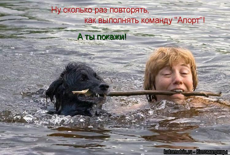 Котоматрица: Ну сколько раз повторять, как выполнять команду "Апорт"! А ты покажи!