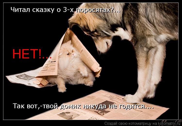 Котоматрица: НЕТ!... Читал сказку о 3-х поросятах?...  Так вот,-твой домик никуда не годится....