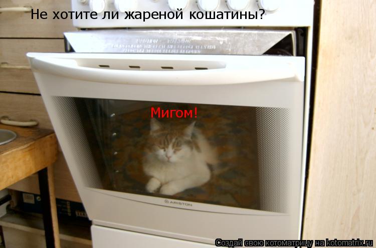 Не хотите ли жареной кошатины? Мигом!... Котоматрица: Не хотите ли жареной кошатины? Мигом!