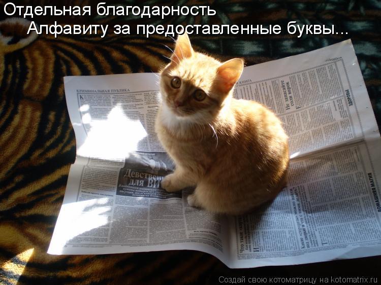 Котоматрица: Отдельная благодарность  Алфавиту за предоставленные буквы...