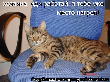 хозяина, иди работай, я тебе уже хозяина, иди работай, я тебе уже место нагрел!... Котоматрица: хозяина, иди работай, я тебе уже хозяина, иди работай, я тебе уже место нагрел!