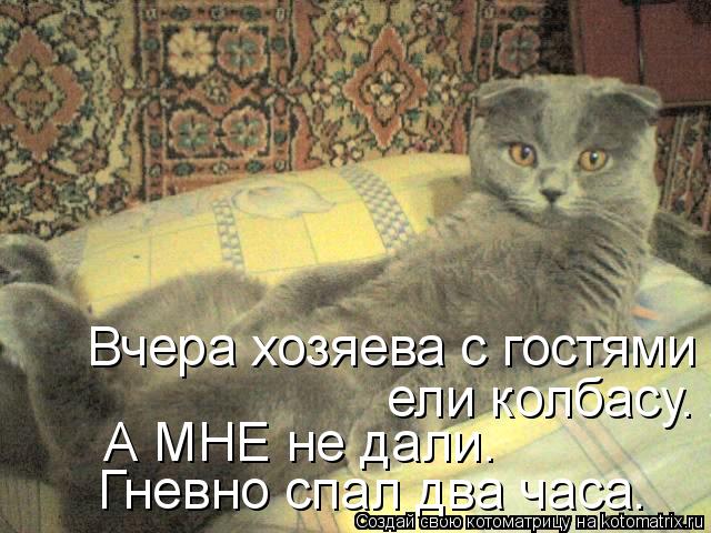 Вчера хозяева с гостями ели колбасу. А МНЕ не дали. Гневно спал два часа. ели колбасу. А МНЕ не дали.... Котоматрица: Вчера хозяева с гостями ели колбасу. А МНЕ не дали. Гневно спал два часа. ели колбасу. А МНЕ не дали. Гневно спал два часа. А МНЕ не дали. Гневн