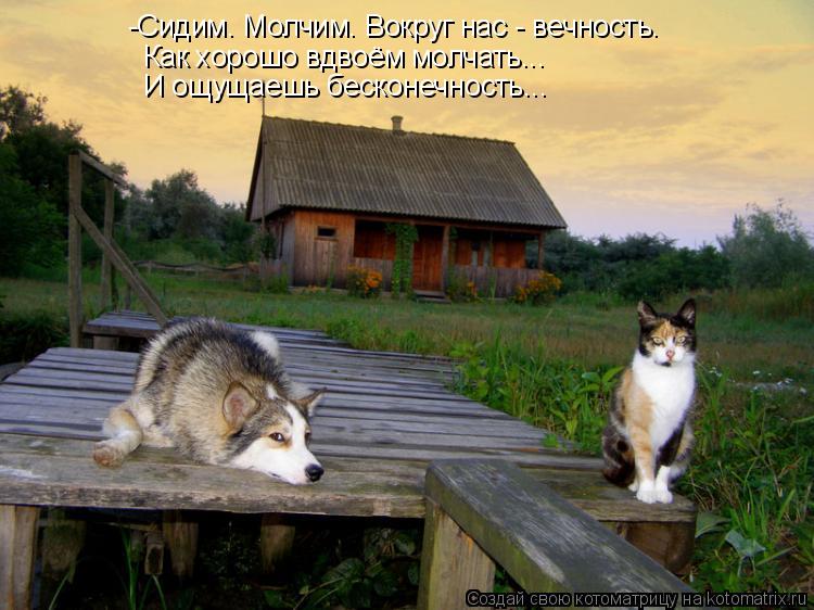 -Сидим. Молчим. Вокруг нас - вечность. Как хорошо вдвоём молчать... И ощущаешь бесконечность...... Котоматрица: -Сидим. Молчим. Вокруг нас - вечность. Как хорошо вдвоём молчать... И ощущаешь бесконечность...