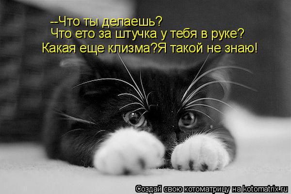 --Что ты делаешь? Что ето за штучка у тебя в руке? Какая еще клизма?Я такой не знаю!... Котоматрица: --Что ты делаешь? Что ето за штучка у тебя в руке? Какая еще клизма?Я такой не знаю!