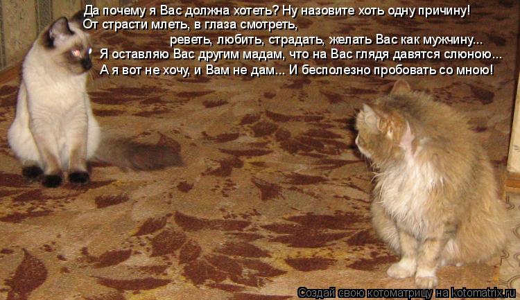 Котоматрица: Да почему я Вас должна хотеть? Ну назовите хоть одну причину! От страсти млеть, в глаза смотреть,  реветь, любить, страдать, желать Вас как муж