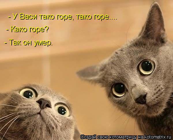 Котоматрица: - У Васи тако горе, тако горе.... - Како горе? - Так он умер.